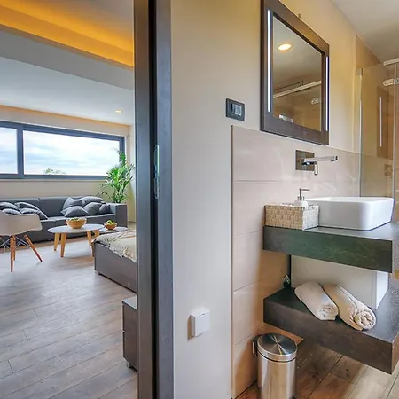 Vila Onyx For 12 People Near Porec With 65 Private Pool And Jacuzzi *