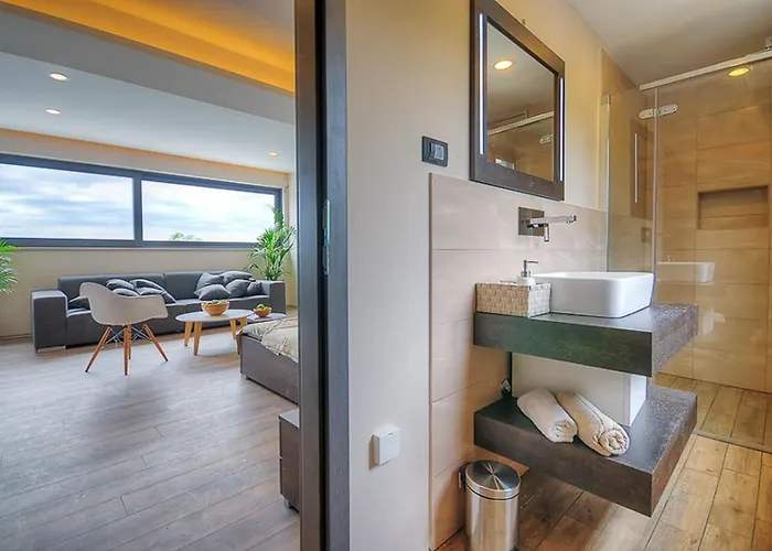 Villa Onyx For 12 People Near Porec With 65 Private Pool And Jacuzzi *