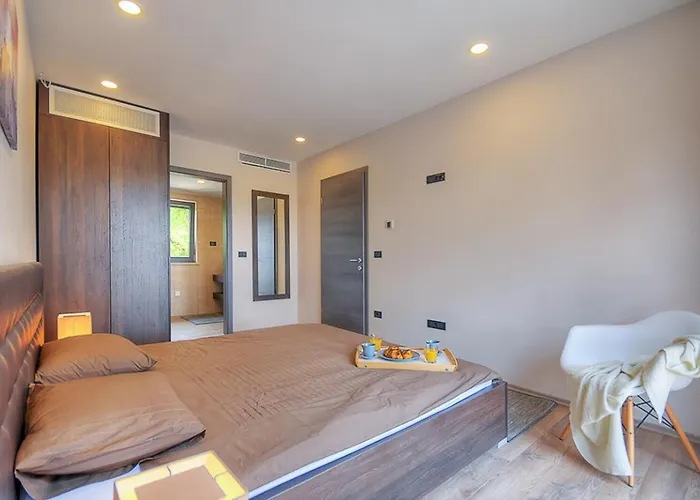 Onyx For 12 People Near Porec With 65 Private Pool And Jacuzzi Visnjan