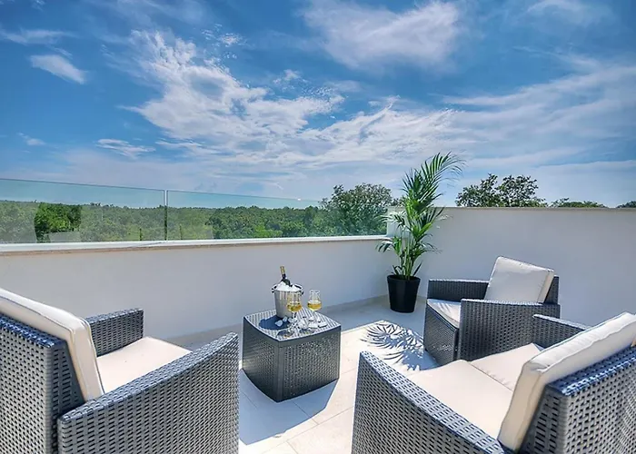 Onyx For 12 People Near Porec With 65 Private Pool And Jacuzzi Villa Visnjan